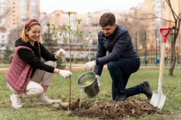 Терапевтскиот аспект на градинарството